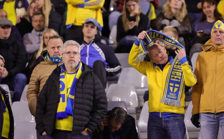La UEFA suspende definitivamente el Bélgica-Suecia, interrumpido por el atentado terrorista en Bruselas