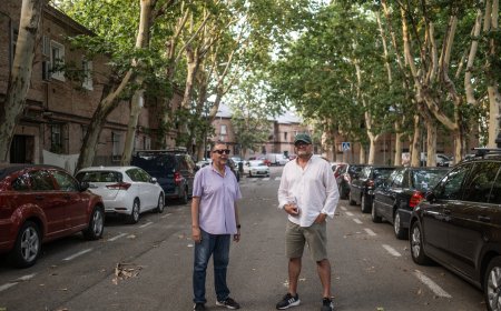 La colonia de los tejadillos negros