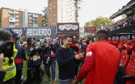 Míchel pone en pie a Vallecas y el Girona no perdona al Rayo en un partido de alta escuela