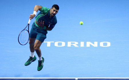 Djokovic, amo del trono y terror de las raquetas