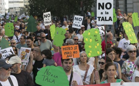La Comunidad de Madrid autoriza la ampliación de la línea 11 de metro que supondrá la tala de 880 árboles