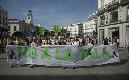“Porque hay alternativa, es ilegal”: el movimiento del No a la tala suena en Atocha