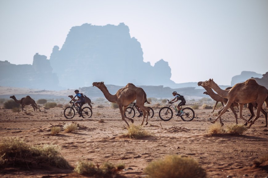 Titan Desert: Cuando el ciclista retirado se niega a que le quiten el dorsal y se pelea en mountain bike por el desierto saudí