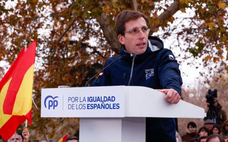 Tercer pleno municipal sobre la amnistía en el Ayuntamiento de Madrid en solo 17 días