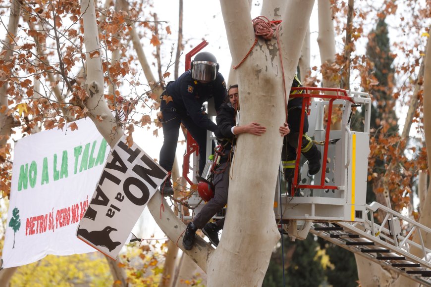 La Comunidad de Madrid rechaza la mediación del Banco del Clima ante las talas de árboles por la ampliación de la línea 11 de metro