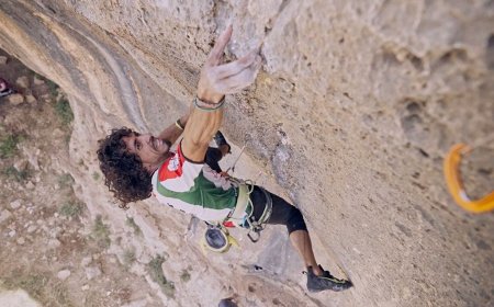 El germen de la escalada en Palestina
