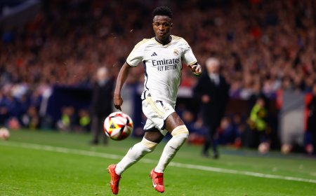 Razones y sinrazones de Vinicius