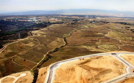 La motosierra del PP se multiplica en las ciudades ricas de Madrid: “La tala en la capital es una anécdota frente a esto”