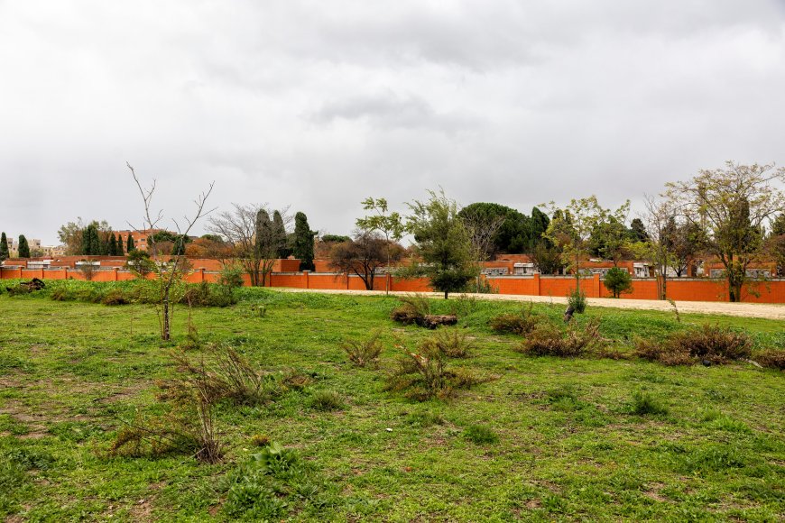 Éxito vecinal en el cantón de Montecarmelo: habrá que parar las obras para descubrir si hay restos de brigadistas internacionales