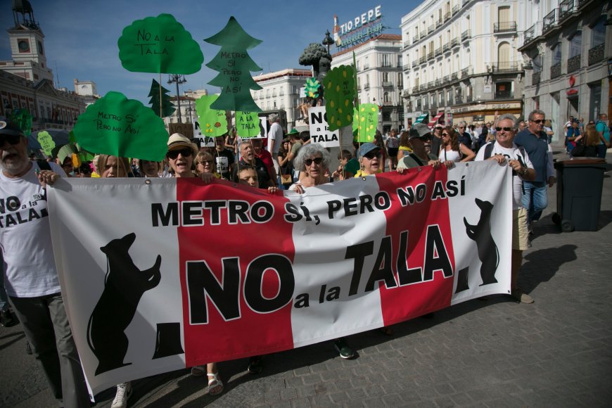 Almeida cesa a su jefa de Patrimonio Mundial en plena oleada de talas de árboles por la línea 11 del metro