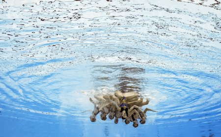 España apunta al podio de los Juegos de París en natación artística