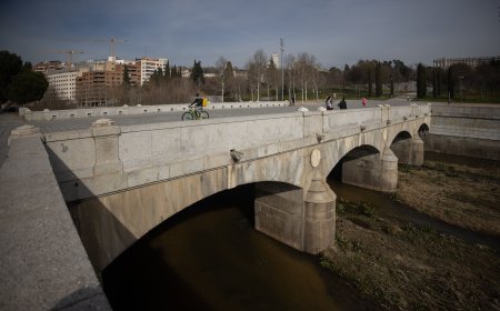 Una protectora animal pide medidas cautelarísimas ante el juez para suspender la ‘mascletà' de Madrid