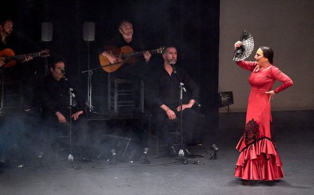 ‘Mascletà’ sí, Flamenco, no. Almeida cancela el festival de Madrid tras siete ediciones: “Estamos muy tristes”