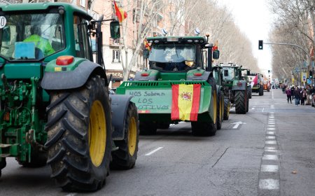 Las protestas de los agricultores, en directo | Cientos de agricultores se concentran en la Puerta de Alcalá a la espera de la tractorada