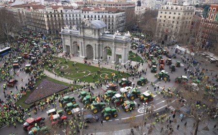 Las protestas de los agricultores, en directo | Cientos de agricultores y tractores toman el centro de Madrid en protesta por la situación del campo