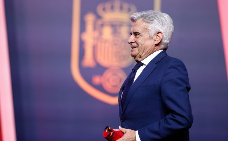 La Federación Española de Fútbol tendrá que celebrar elecciones a todos sus órganos y renovar la asamblea antes de elegir nuevo presidente