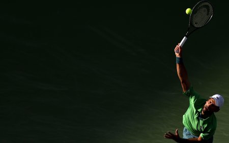 Djokovic, o una temporada sin el ‘comodín’ de Australia