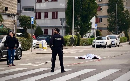 Detenido el conductor que atropelló mortalmente a un hombre en un paso de cebra en Aluche, antes de darse a la fuga