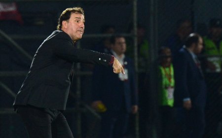 Néstor Lorenzo, entrenador de Colombia: “La cuna del campeón te garantiza una proyección de campeón”