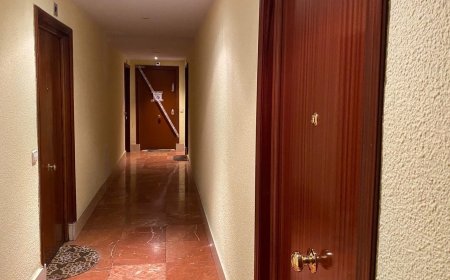Un historial de Google para reconstruir los pasos de un asesinato: “Cuánto hay que esperar para denunciar una desaparición”