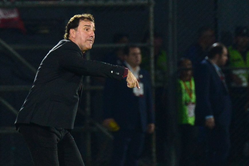 Néstor Lorenzo, entrenador de Colombia: “La cuna del campeón te garantiza una proyección de campeón”
