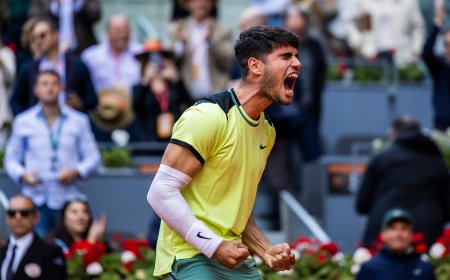 Alcaraz se agranda y aplaca la anarquía de Struff