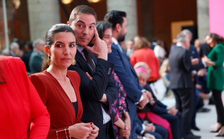 Monasterio (Vox) reclama a la Asamblea de Madrid que anule su sanción de 15 días de sueldo por votar dos veces en el pleno