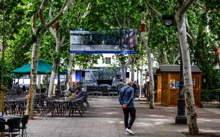 “Los seres humanos están siendo implantados por otra especie”, anunció Delgado en la Feria del Libro de Vallecas