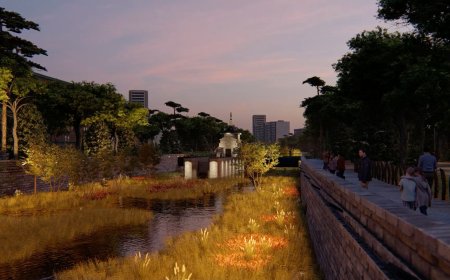 Ecologistas en Acción se opone al proyecto de Almeida para iluminar por las noches el río Manzanares