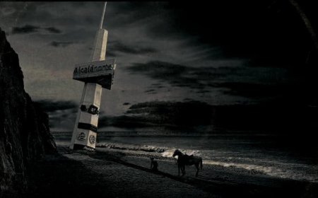 La vida cañón