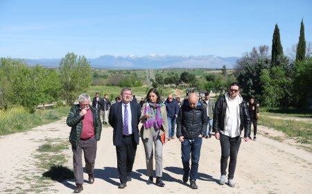 El Gobierno pide a Madrid que pare las obras en Montecarmelo ante la posibilidad de que haya una fosa común