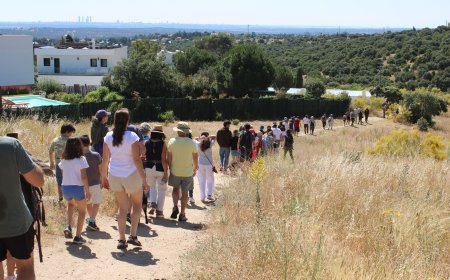 La polémica propuesta del PP de Torrelodones: un acceso directo a chalets por una zona protegida
