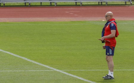 Luis de la Fuente deja fuera de la lista de España para la Eurocopa a Cubarsí, Llorente y Aleix García