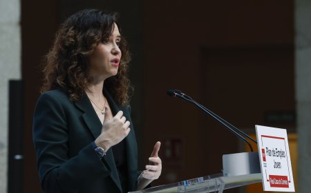 El Gobierno de Ayuso aprueba recurrir ante el Tribunal Constitucional la ley de amnistía