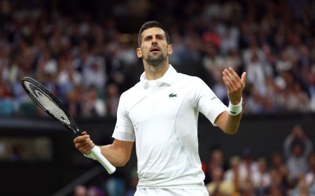 “Djokovic es como Darth Vader, no merece un trato así”