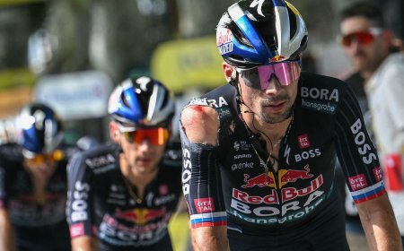 Ayuso se retira con covid en el kilómetro 30 de una etapa en la que no estaba ya Roglic, que abandonó el Tour tras la caída del jueves