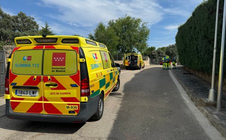 Un criador de serpientes, en estado muy grave tras ser mordido por una víbora mortal en Valdemorillo