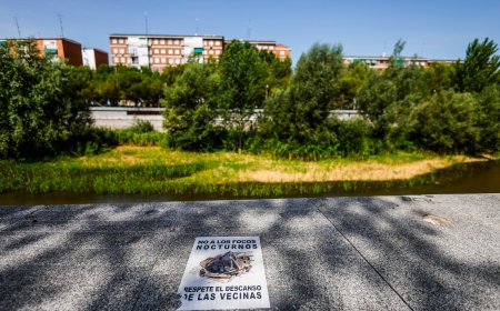 Instalada la iluminación nocturna en el río Manzanares pese a la oposición de ecologistas y 85 científicos
