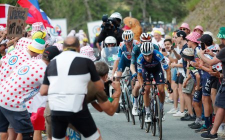 Españoles en el Tour de Francia: un ciclismo de peleones sin premio en 2024