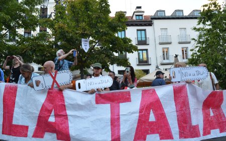 Los vecinos del barrio de Las Letras tienen un plan B: eliminar 10 árboles en vez de 47
