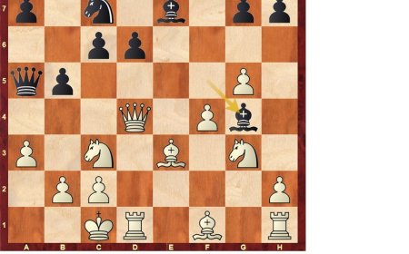 Anand: genio rápido (XIII)