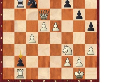 Anand: genio rápido (XVI)
