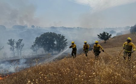Desalojada una urbanización de Colmenar Viejo por un incendio forestal