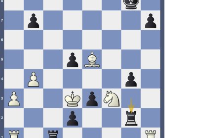 Anand: genio rápido (XXIV)