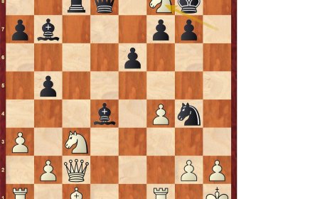 Anand: genio rápido (XXIX)