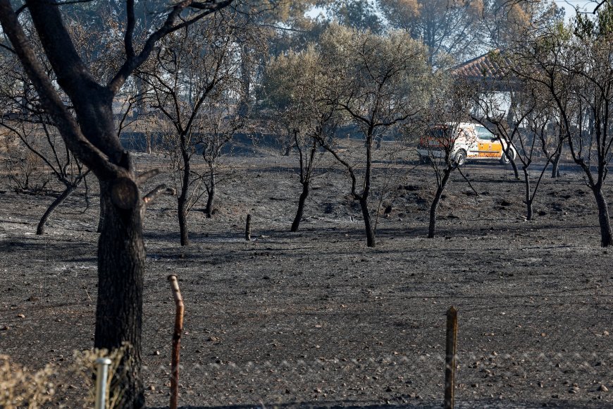 Cuatro personas investigadas por provocar el incendio de Loeches con maquinaria agrícola