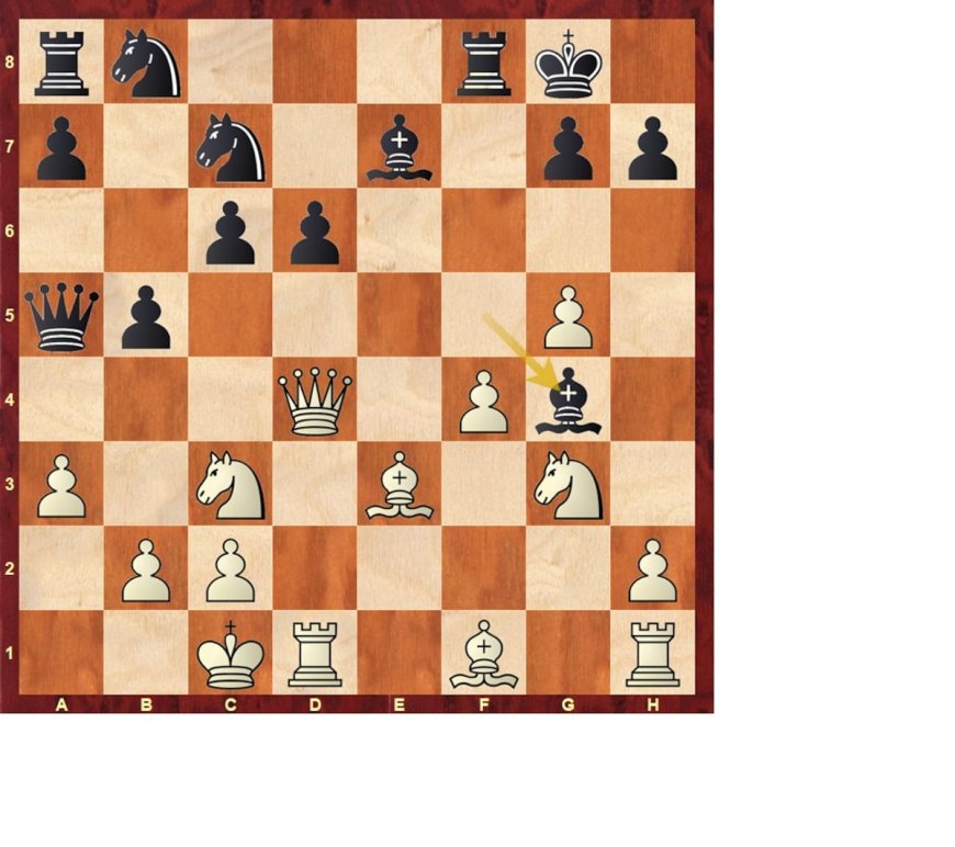 Anand: genio rápido (XIII)