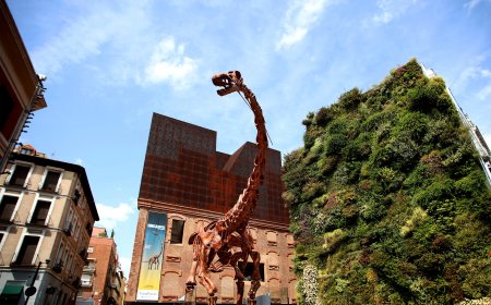 La fantasía, la historia y la reflexión marcan la nueva temporada de CaixaForum Madrid