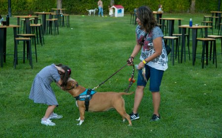 El club de Madrid en el que el socio es el perro