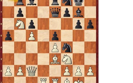Carlsen, 23,5; Firouzja, 7,5